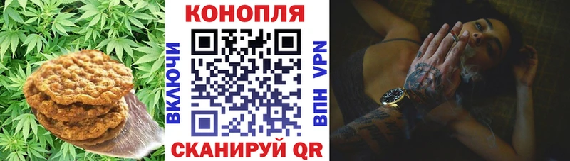 мега маркетплейс  даркнет сайт  Лениногорск  Еда ТГК марихуана 