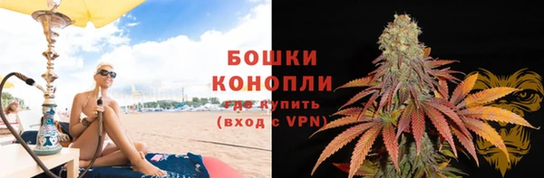 хмурый Няндома