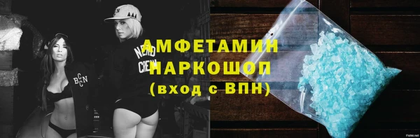 хмурый Няндома