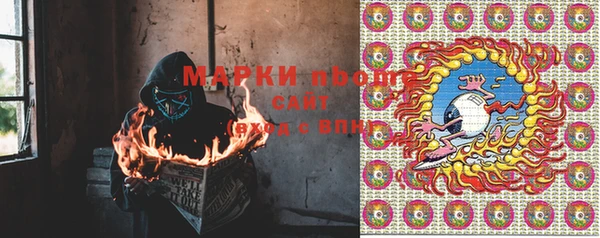 хмурый Няндома
