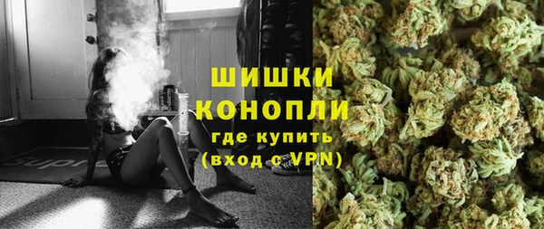 хмурый Няндома