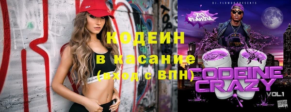 хмурый Няндома