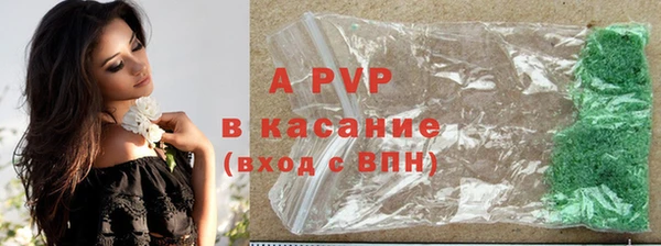 хмурый Няндома