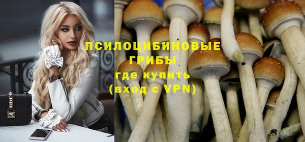 ECSTASY Нязепетровск