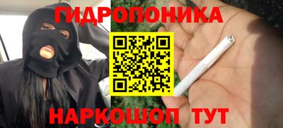 a pvp Гусев