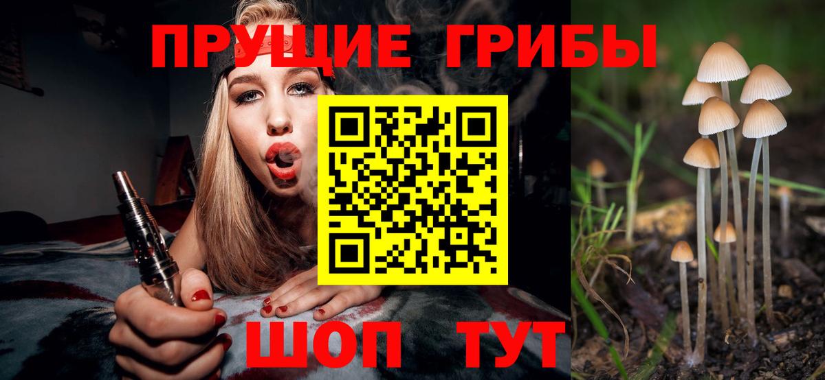 Псилоцибиновые грибы Psilocybine cubensis  Лениногорск 